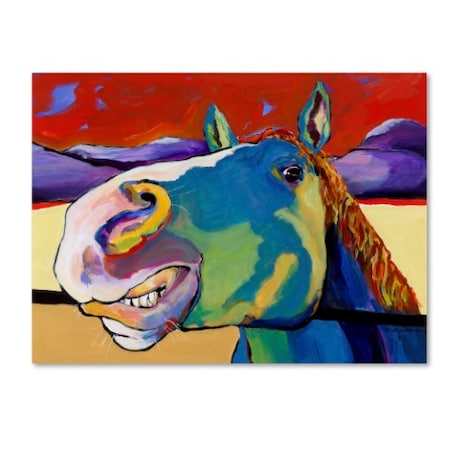 Pat Saunders-White 'Eye To Eye' Canvas Art,35x47